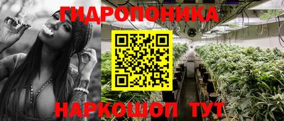 гашиш Заводоуковск