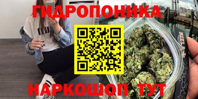 ПСИЛОЦИБИНОВЫЕ ГРИБЫ Заволжье