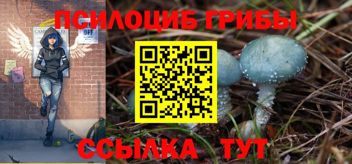 Псилоцибиновые грибы мицелий  купить наркотик  Заречный  Вход с VPN 