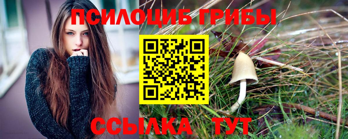 Галлюциногенные грибы ЛСД Заречный